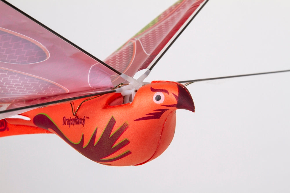 Dragon Hawk Glider w/ Power Assist